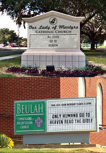 Dogs Go To Heaven